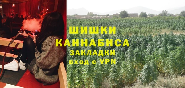 крисы Баксан