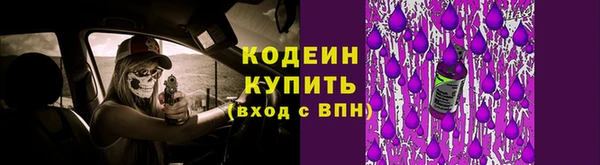 крисы Баксан