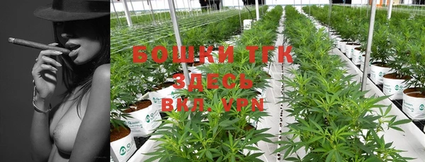 крисы Баксан