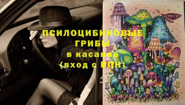 крисы Баксан