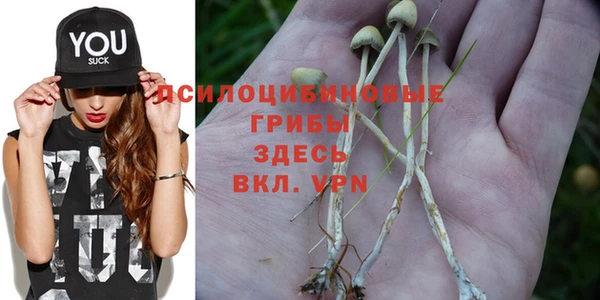 МДПВ Балабаново